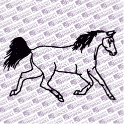 Horse Outline