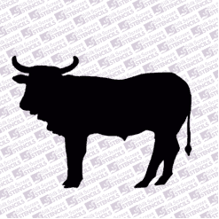 Nguni silhouette