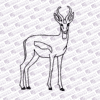 Springbuck