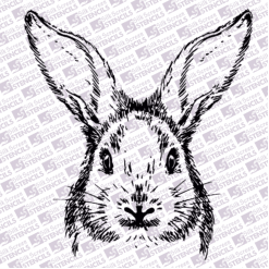 Rabbit Head 1