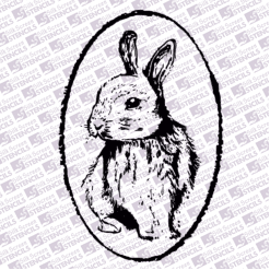 Rabbit in Frame