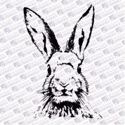 Rabbit Head 2