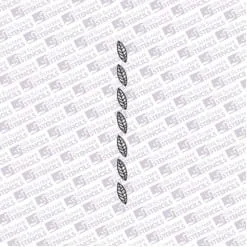 Border Leaf