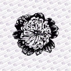 Peony