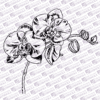 orchid