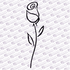 Rose 2