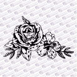 corner roses