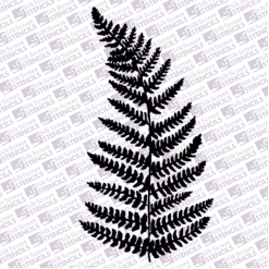 Fern leaf