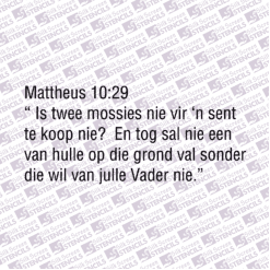 Matt 10:29