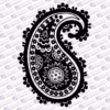 Paisley 2