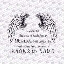 psalm91 wings