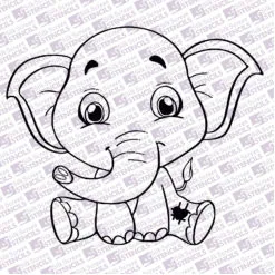 Baby Elephant