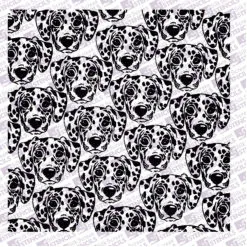 sq Dalmation heads