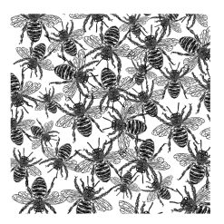 sq Bees