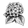 Black and white silkscreen stencil of a hydrangea flower with detailed petals and leaves, ideal for craft and art projects.