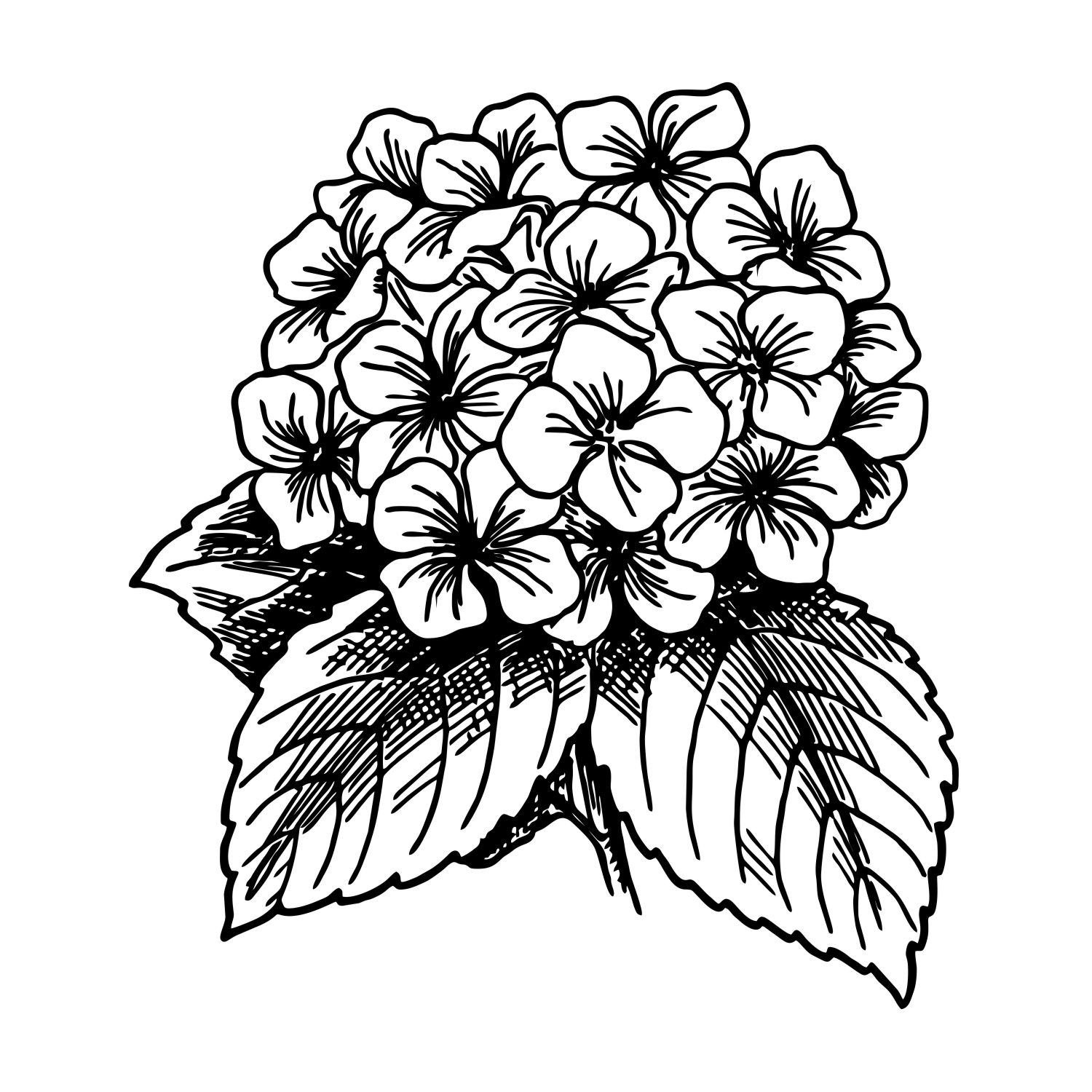 Silkscreen Hydrangea Stencil Design Black and white silkscreen stencil of a hydrangea flower with detailed petals and leaves, ideal for craft and art projects.