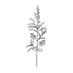 Detailed black and white botanical illustration suitable for silkscreen stencils, showcasing leaves and small flowers for craft and art projects.