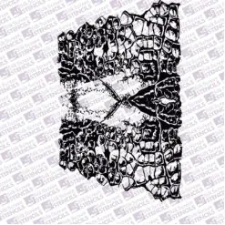 Skin 8