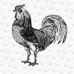Chicken2