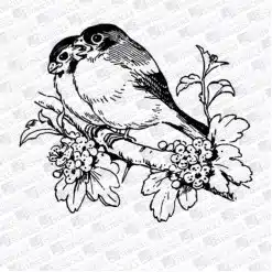 Birds on a branch
