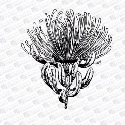 Pincushion 2