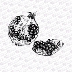 Open pomegranate