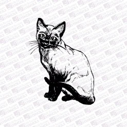 Cat sitting