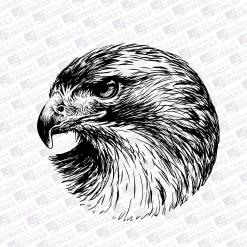 Eagle head