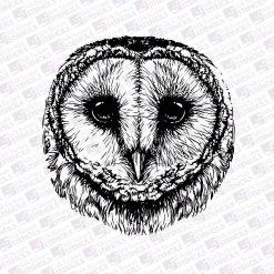 Owl face